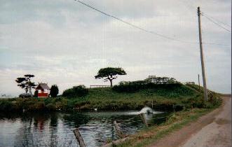 aRSi